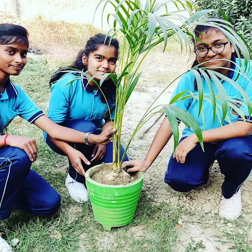 Learning environment